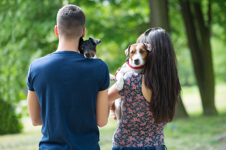 Casal visto de costas segurando dois cães em um parque