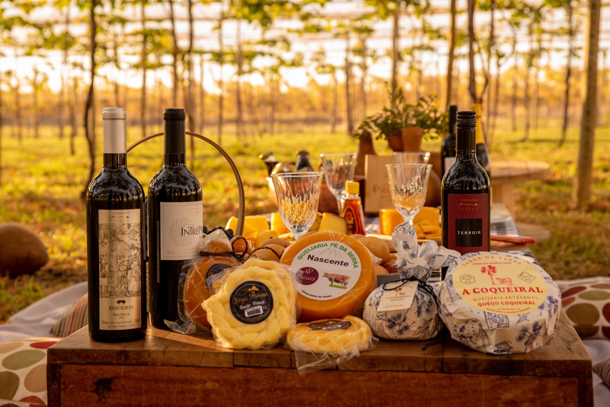 FOTO Na programação do “Goiás Gastronomia 2026” as atividades do 'Goiás Queijo e Vinho' (2)