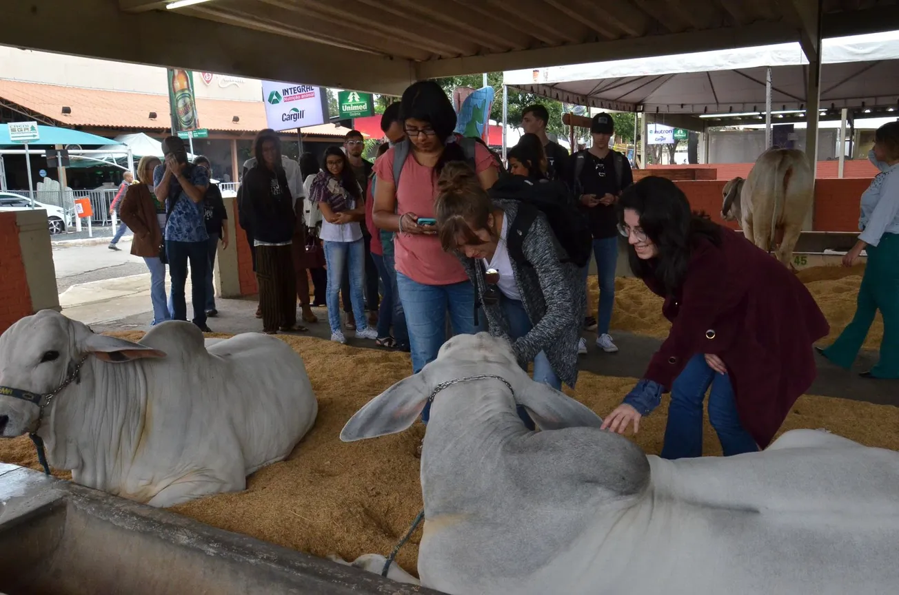 Pessoas interagindo com animais na Pecuária de Goiânia.