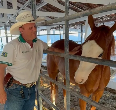 Homem em chapéu ao lado de cavalo em baias durante feira agropecuária
