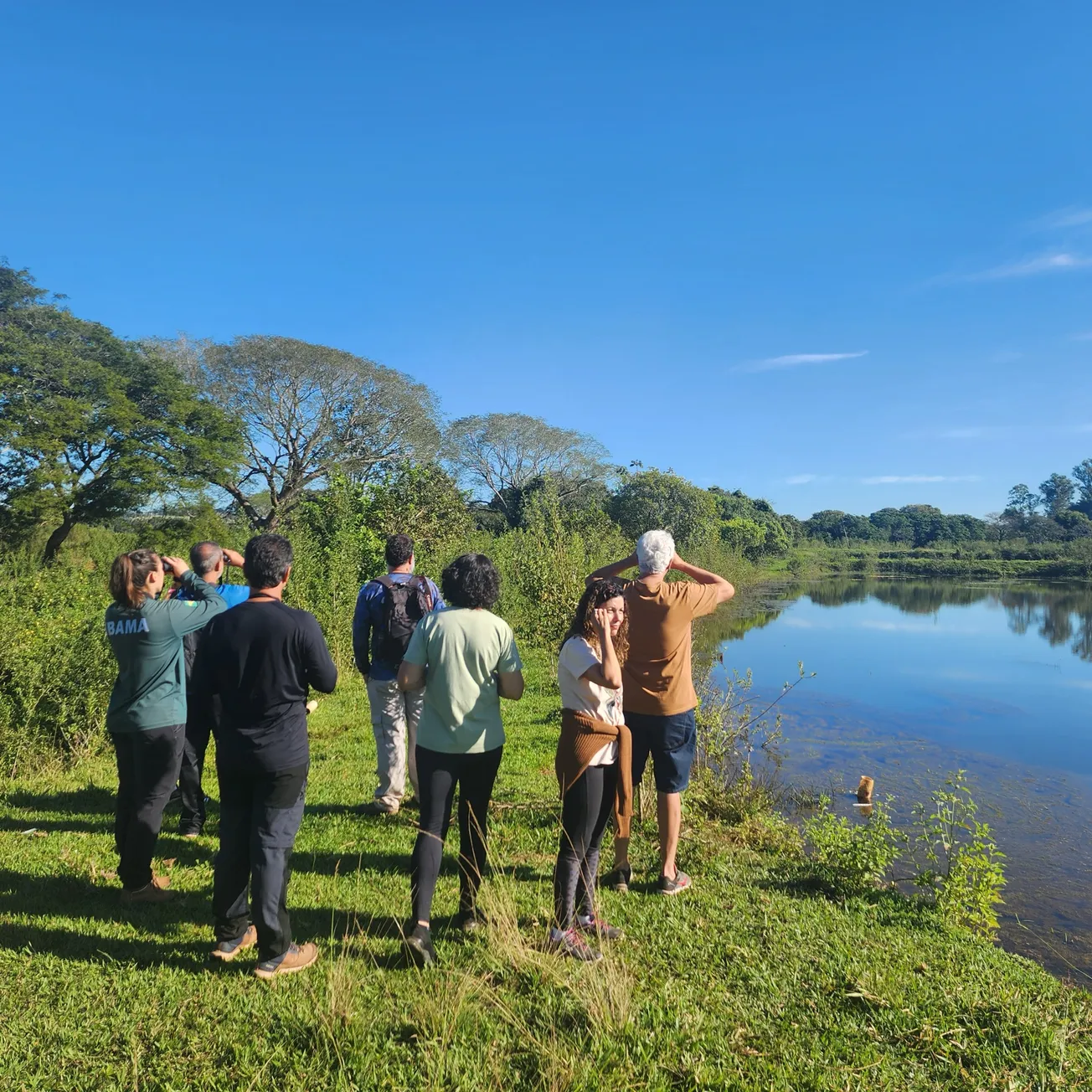 Participantes observando aves em uma área natural